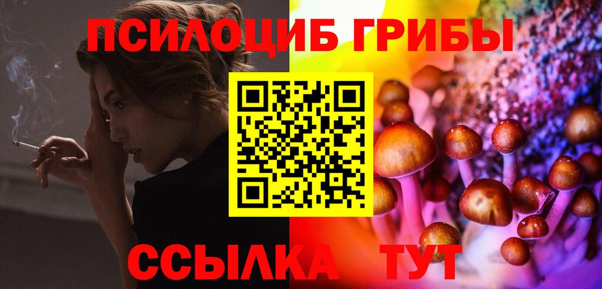 Галлюциногенные грибы Psilocybine cubensis  купить наркотики сайты  Вход с VPN  Кольчугино  Псилоцибиновые грибы прущие грибы 